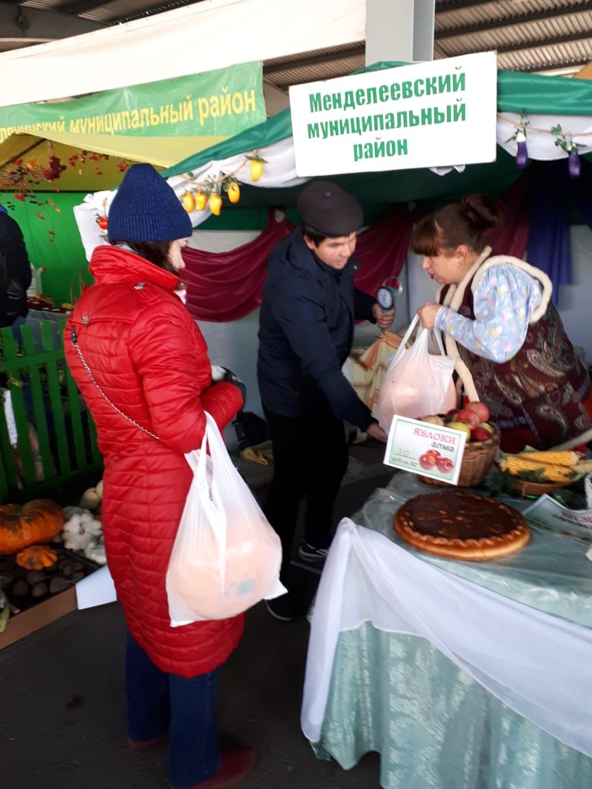 Учреждения образования Менделеевского района представили продукцию на ярмарке в Казани