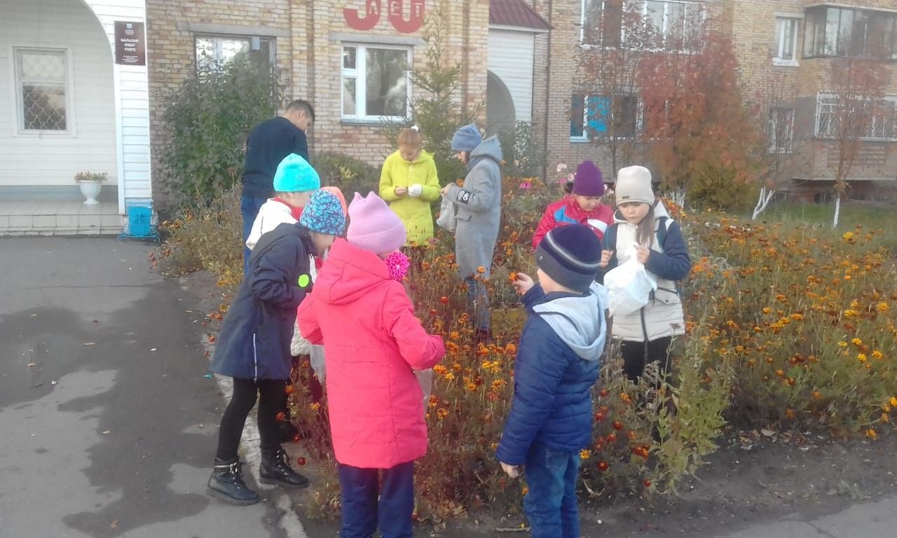 Менделеевцы дают вторую жизнь цветам