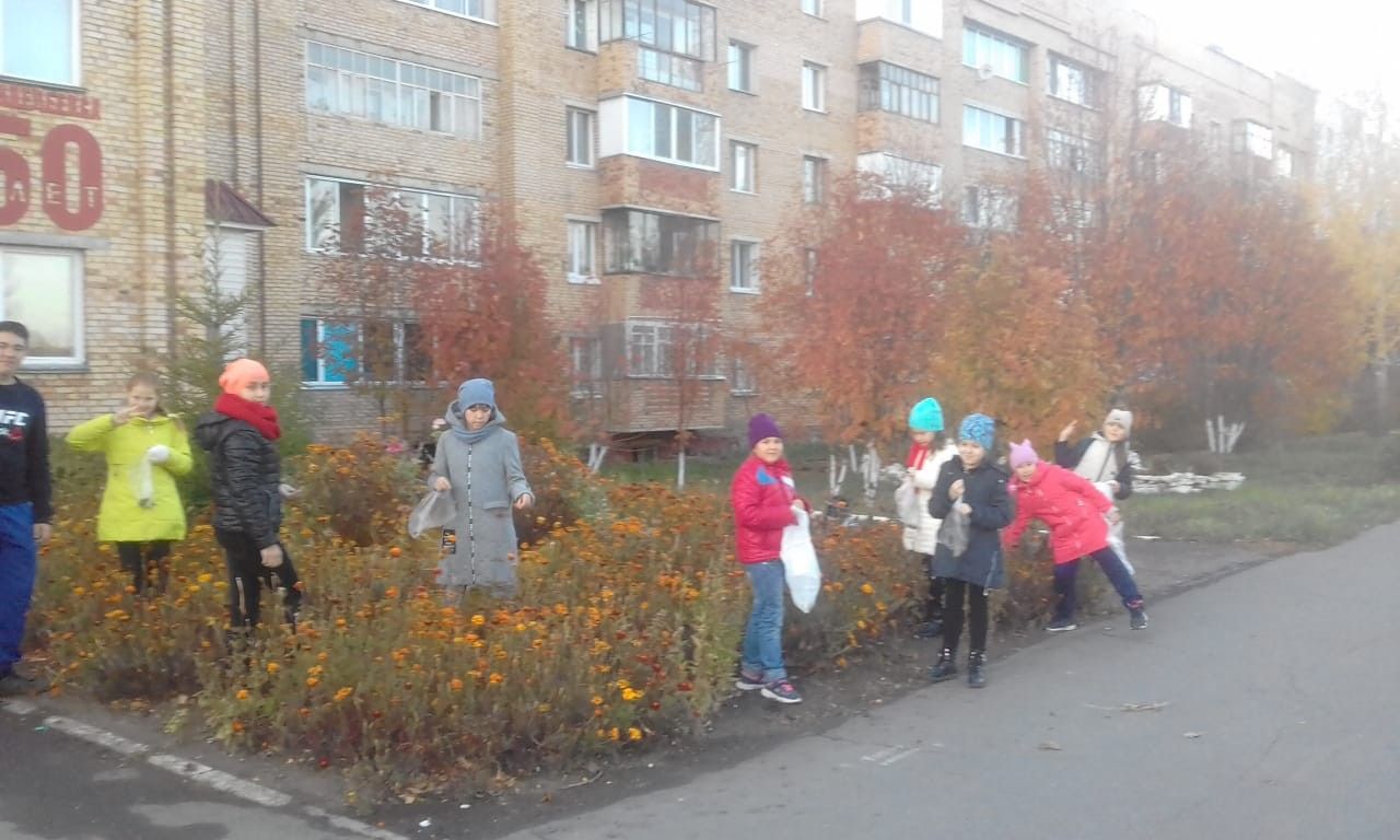 Менделеевцы дают вторую жизнь цветам