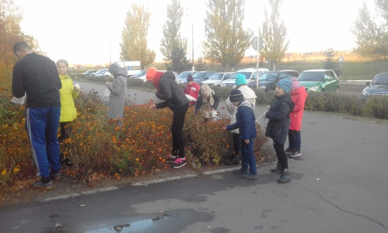 Менделеевцы дают вторую жизнь цветам