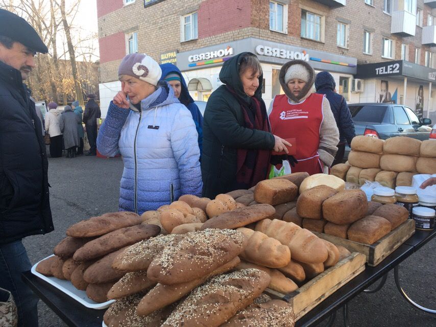 Фермерские сезоны: как проходят сельхозярмарки в Менделеевске