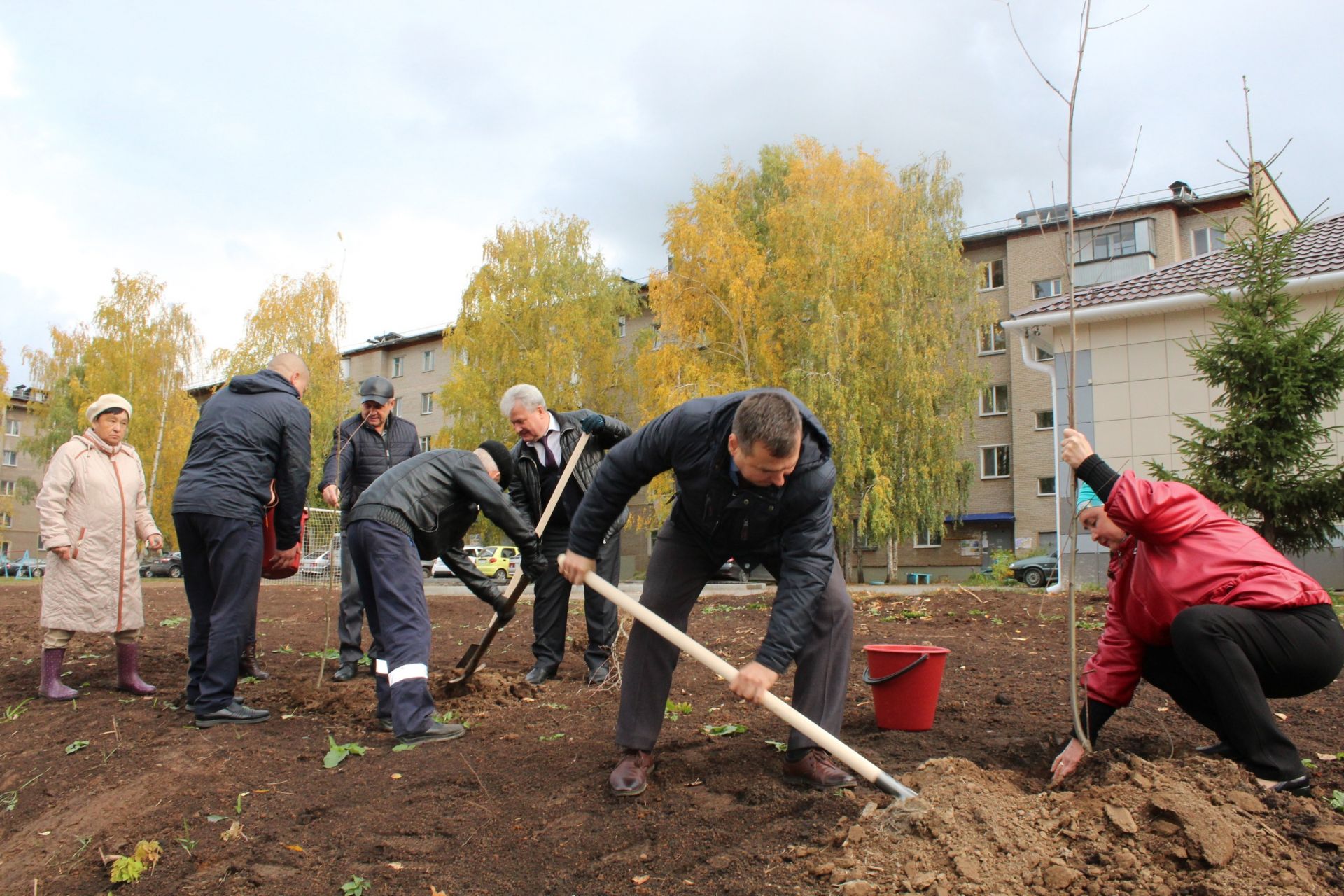 «Посади своё дерево»: в рамках экоакции в Менделеевске высадили более 700 деревьев