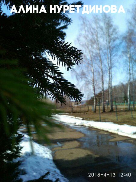 Успей проголосовать за лучшее фото конкурса "Весна в моем городе"