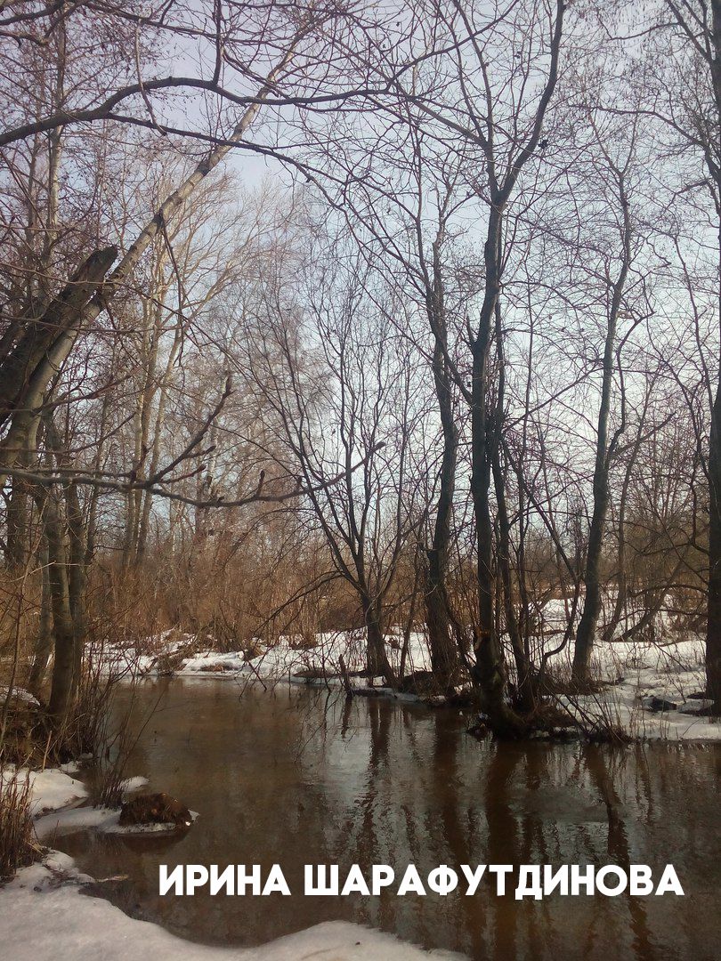 Успей проголосовать за лучшее фото конкурса "Весна в моем городе"