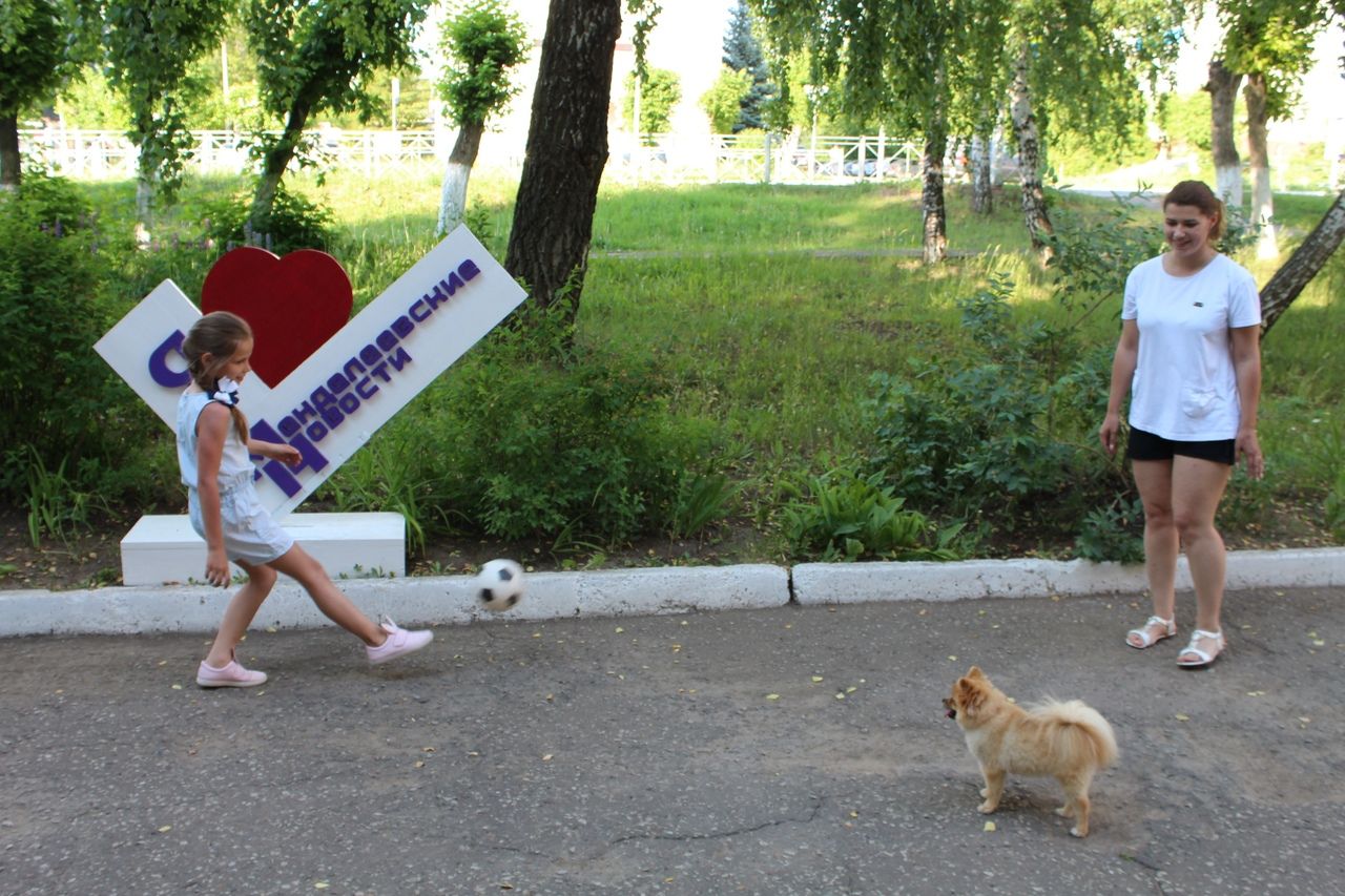 «Матч. Мяч. Гол!»: как собака полюбила футбол