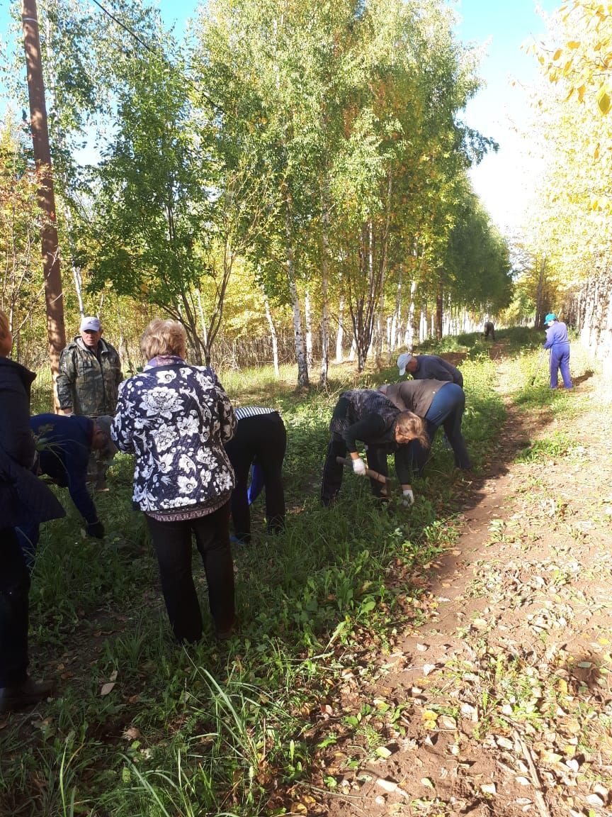 Менделеевцы привели в порядок территорию лыжной трассы