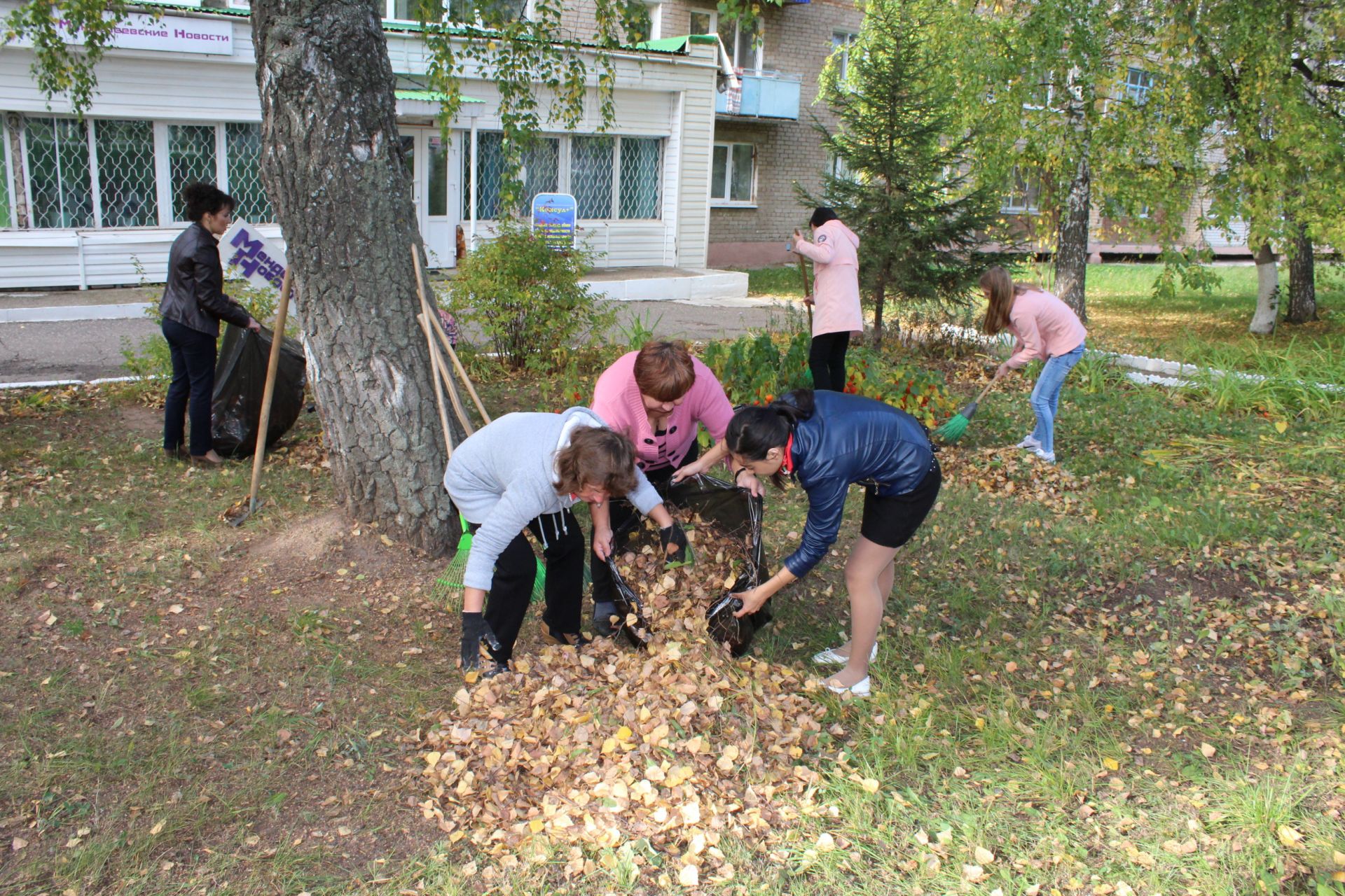 Менделеевцы выходят на уборку общественных территорий