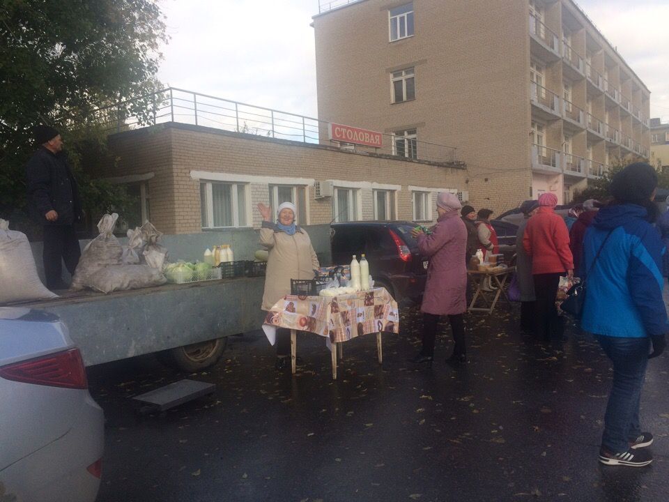 Менделеевским аграриям непогода не помеха