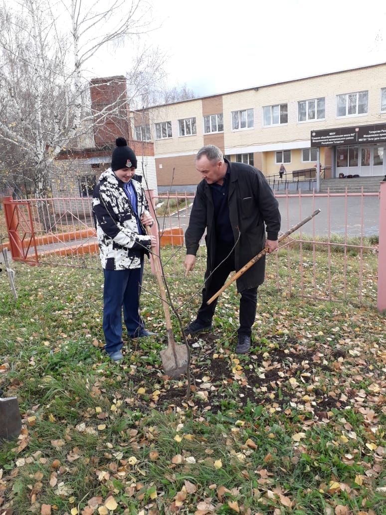 Деревья сажают менделеевские школьники