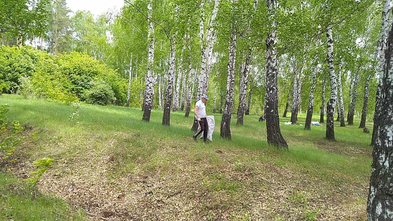 Эко-десант высадился в Менделеевске