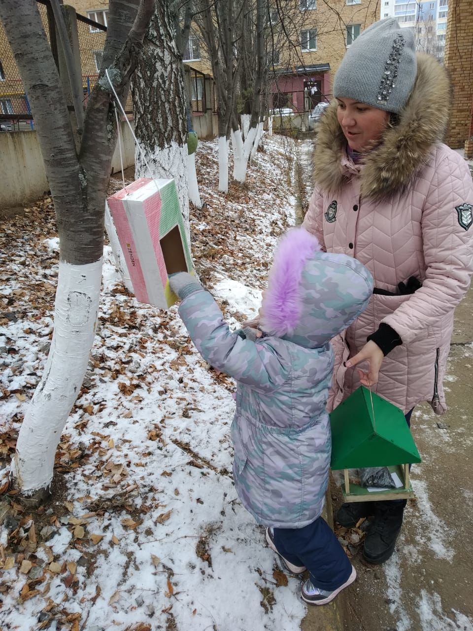 Юные менделеевцы оборудовали птичью столовую