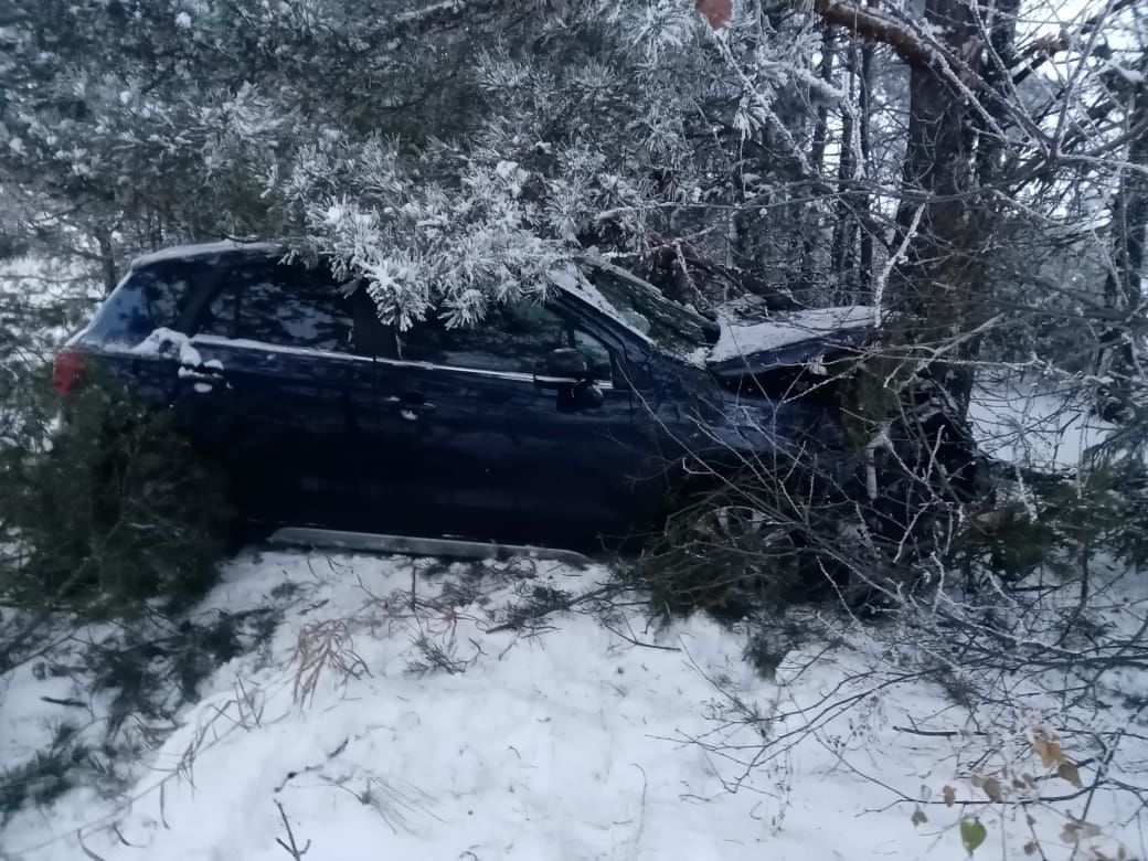 В Менделеевском районе женщина-водитель съехала в кювет и врезалась в дерево