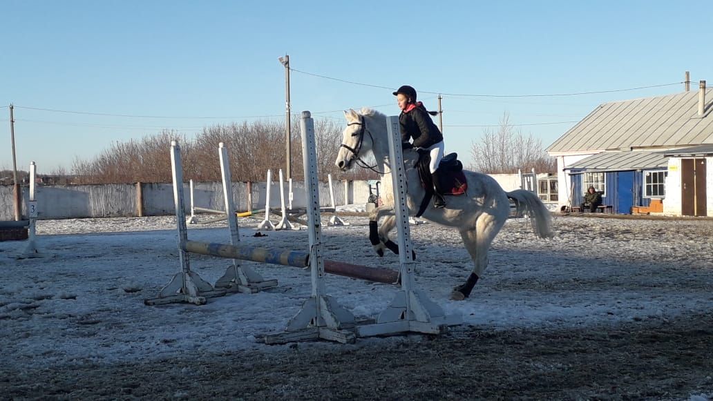 В Менделеевске заплели гривы и хвосты лошадям