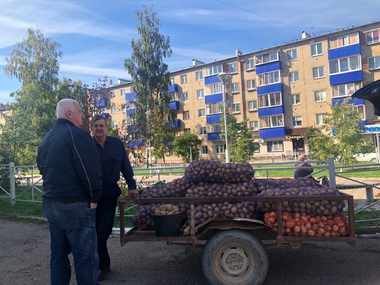 В Единый день голосования в Менделеевске организована ярмарка