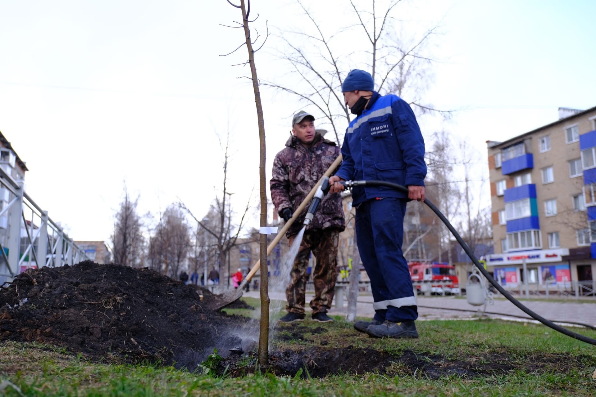 В Менделеевске посадили 80 саженцев лип