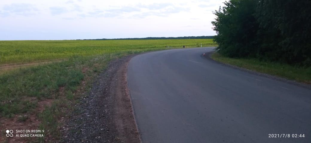 В Менделеевском районе в ДТП погиб один человек