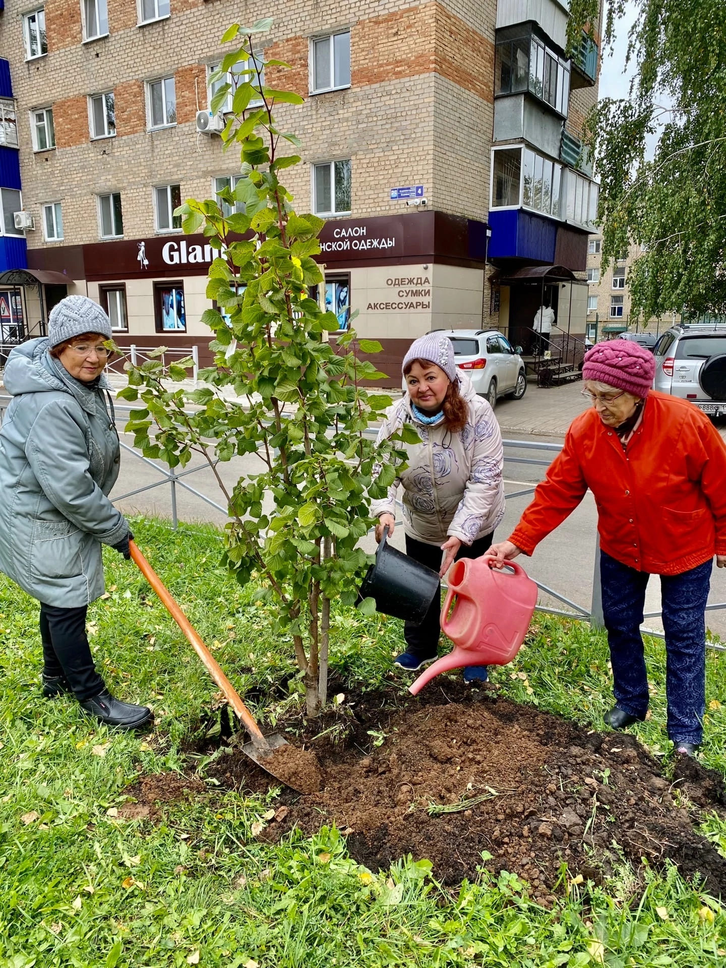 Менделеевцы приняли участие в осенней посадке деревьев