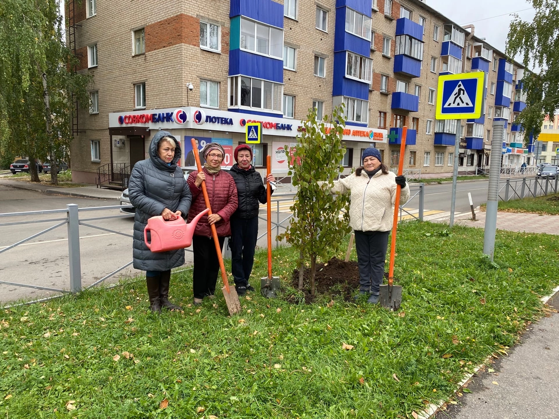 Менделеевцы приняли участие в осенней посадке деревьев