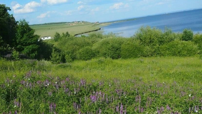 Менделеевцы делятся воспоминаниями о пребывании в «Юниоре»