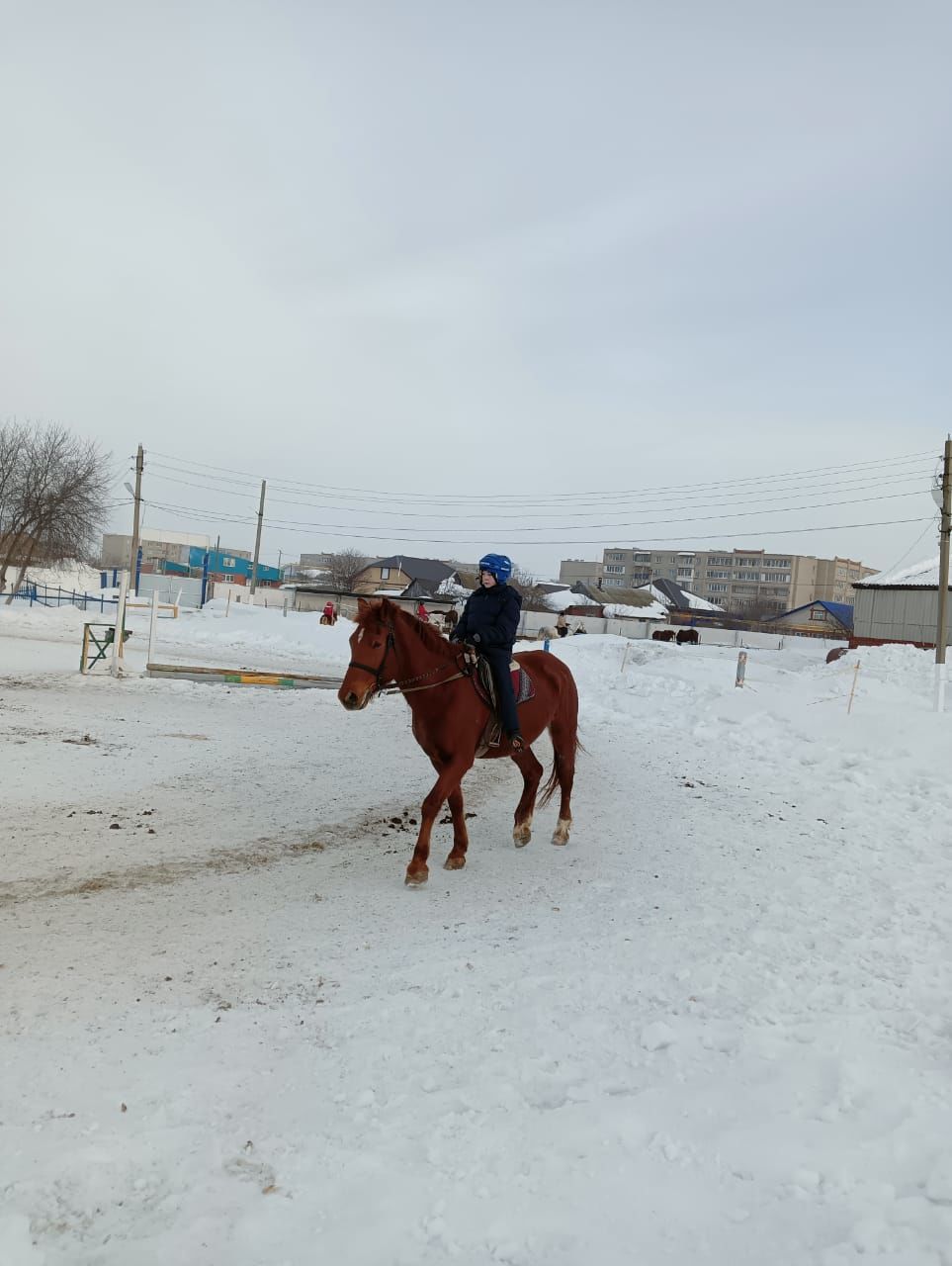 В Менделеевске прошли соревнования по манежной езде