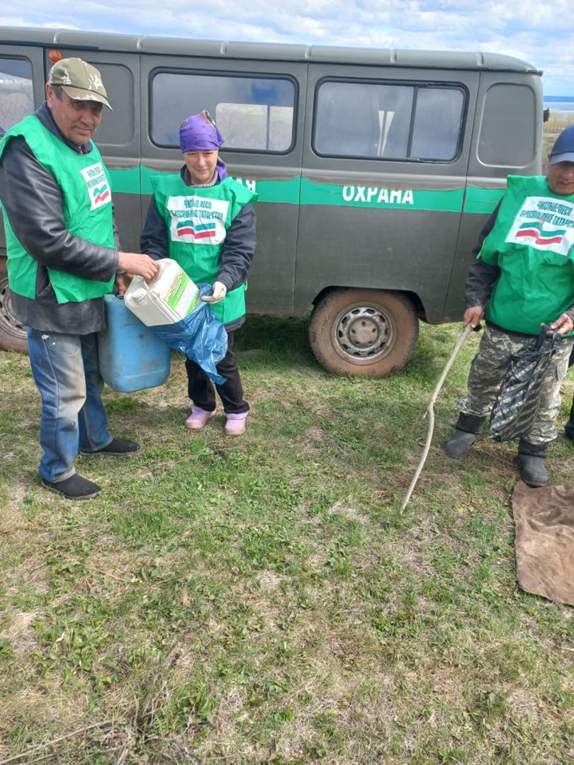 В Менделеевском районе убрали мусор на территории лесов