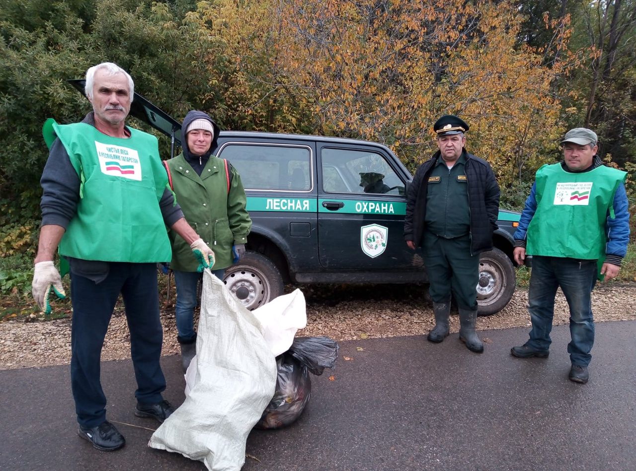 В Менделеевском районе убрали мусор на территории лесов