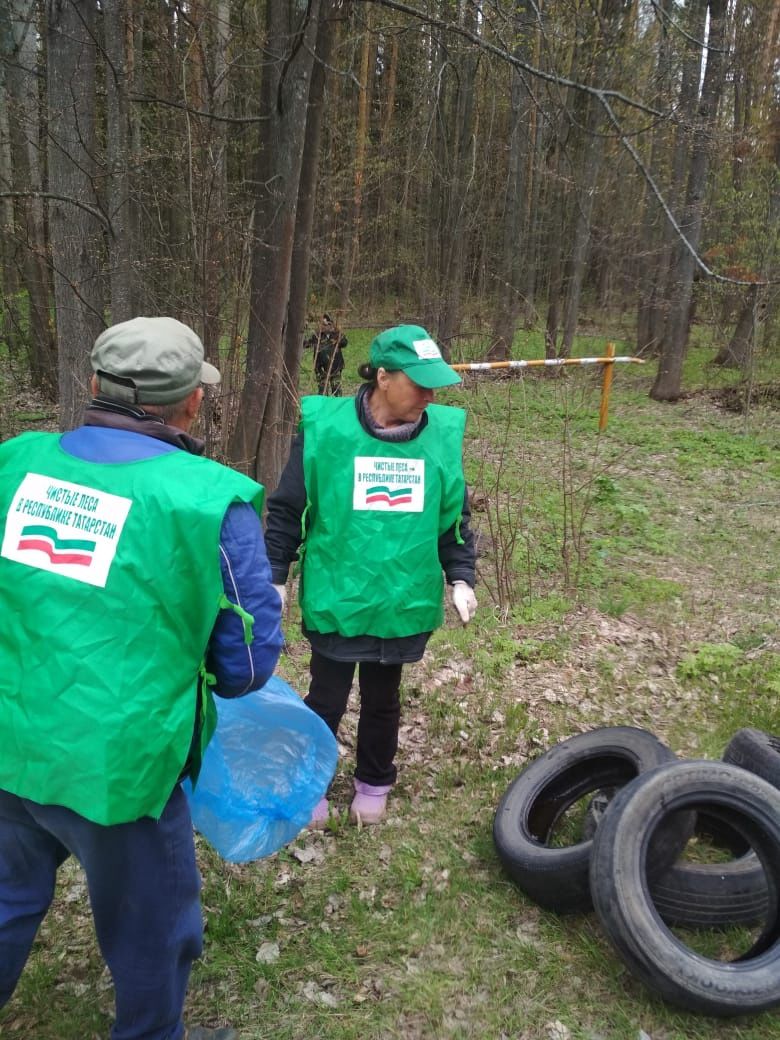 В Менделеевском районе убрали мусор на территории лесов