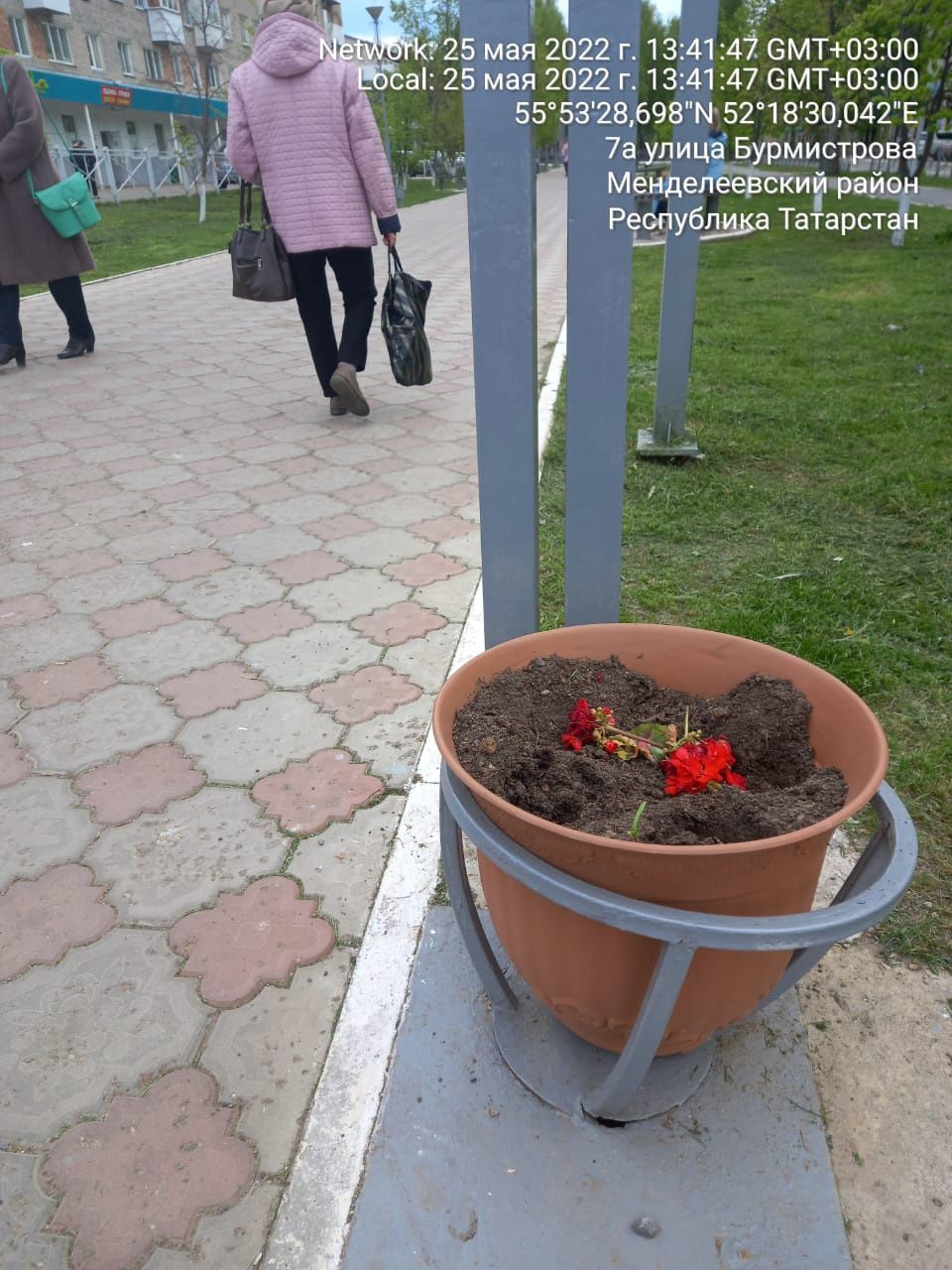 Менделеевцы обеспокоены кражей цветов из городских клумб