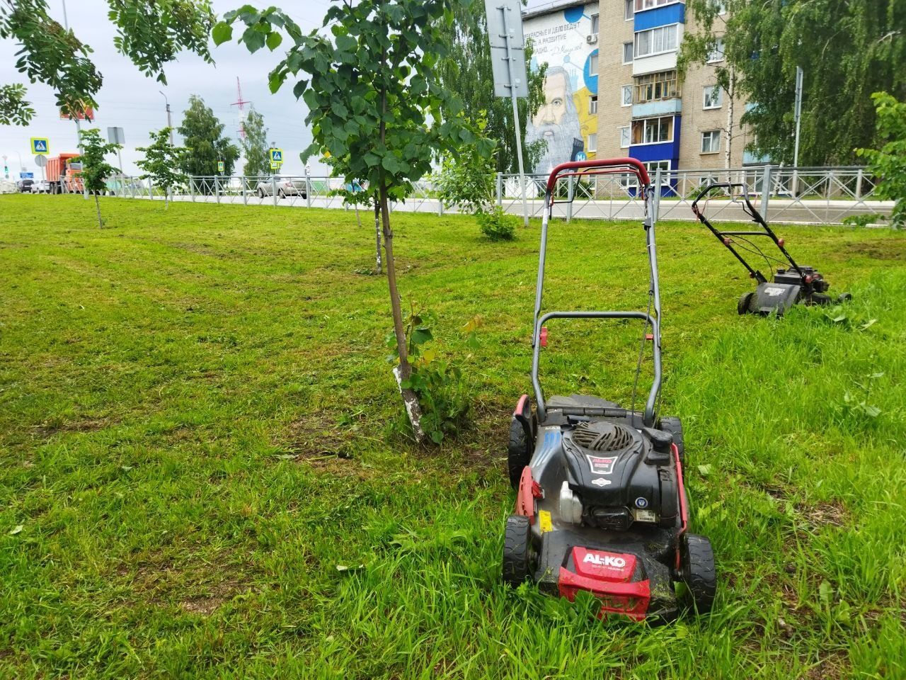 Менделеевские школьники благоустраивают город