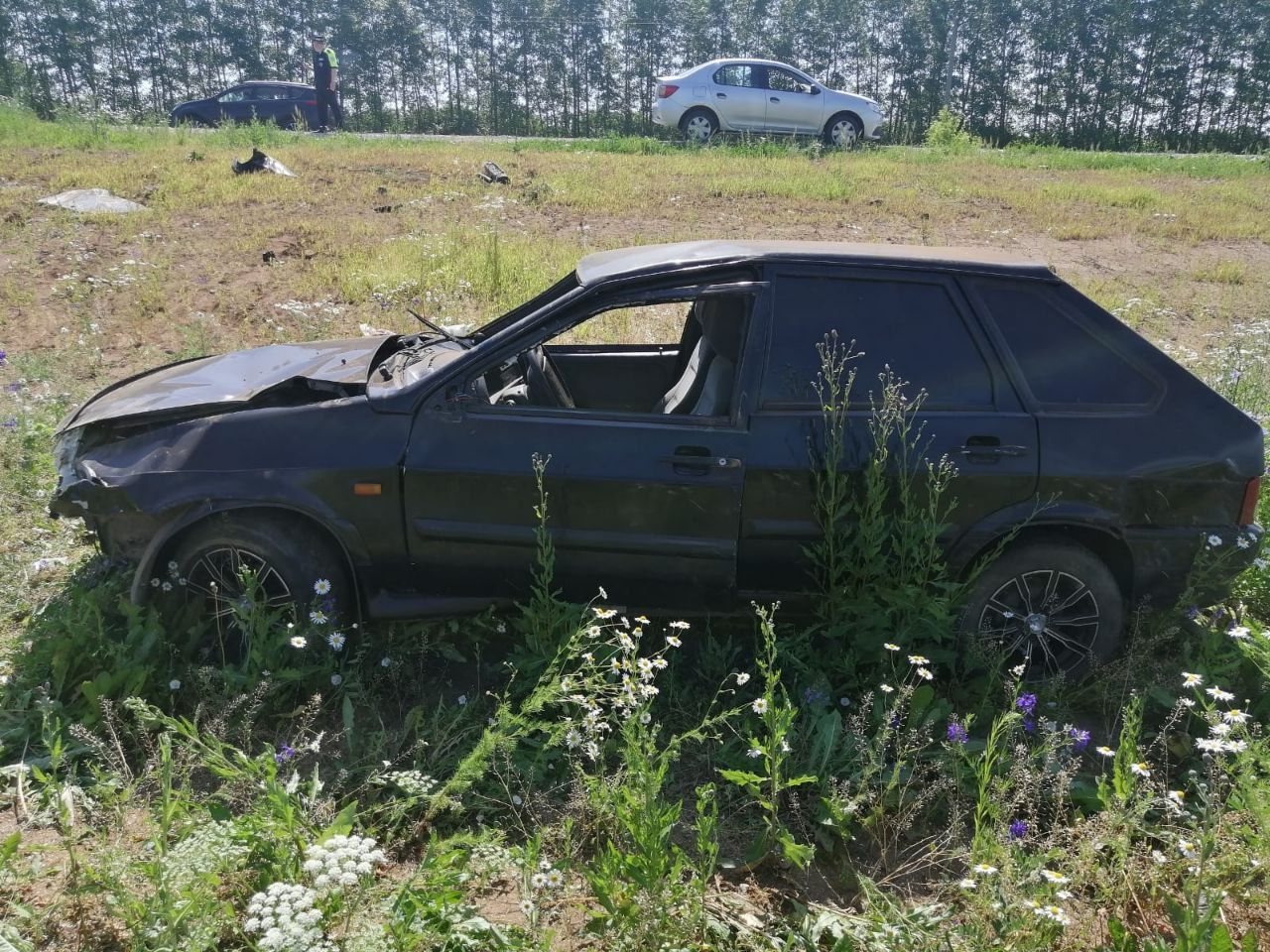 В Менделеевском районе автоледи съехала в кювет