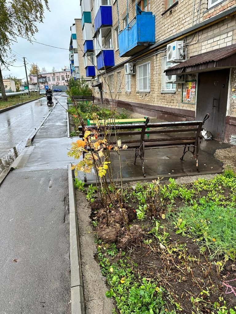 В Менделеевске активно ведется осенняя посадка деревьев