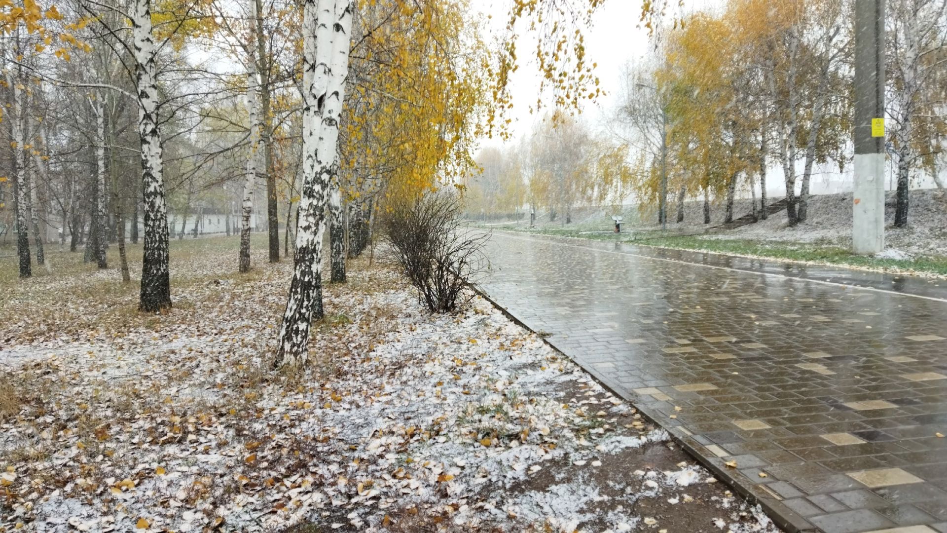 В Менделеевске пошёл первый снег