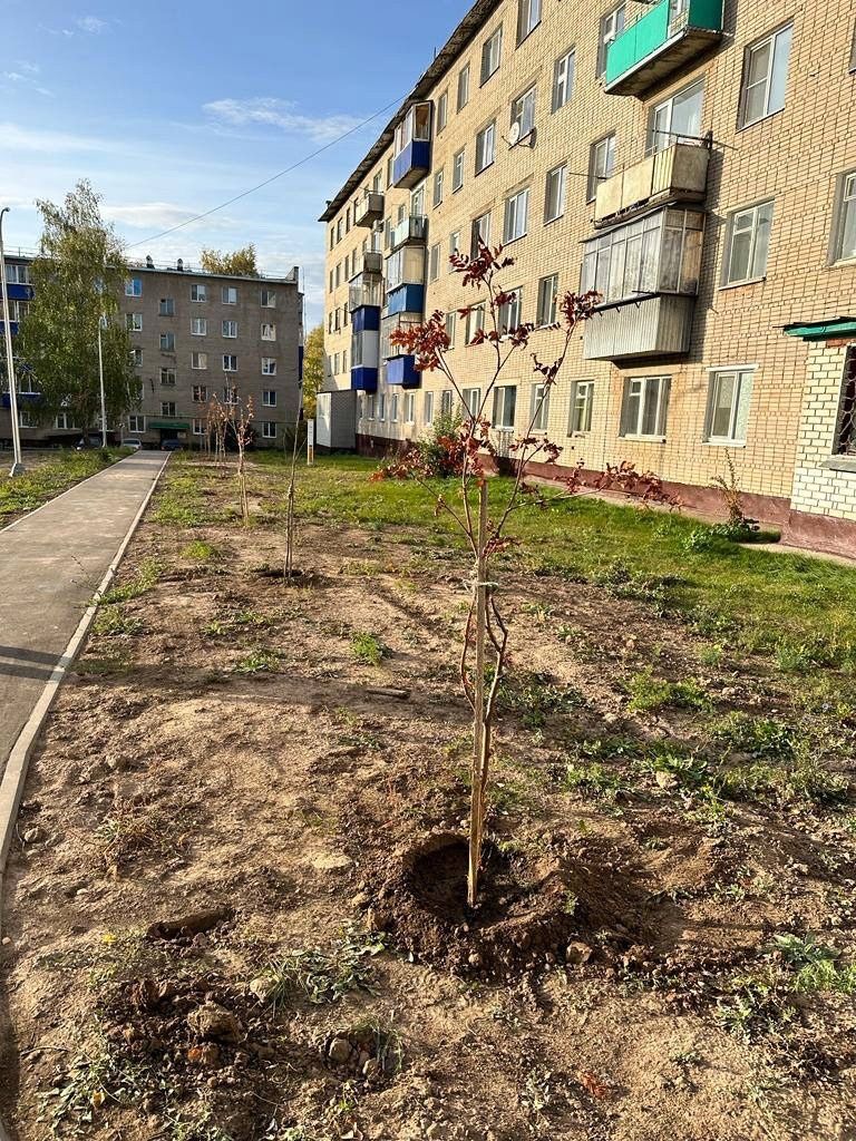 В Менделеевске активно высаживают новые деревья