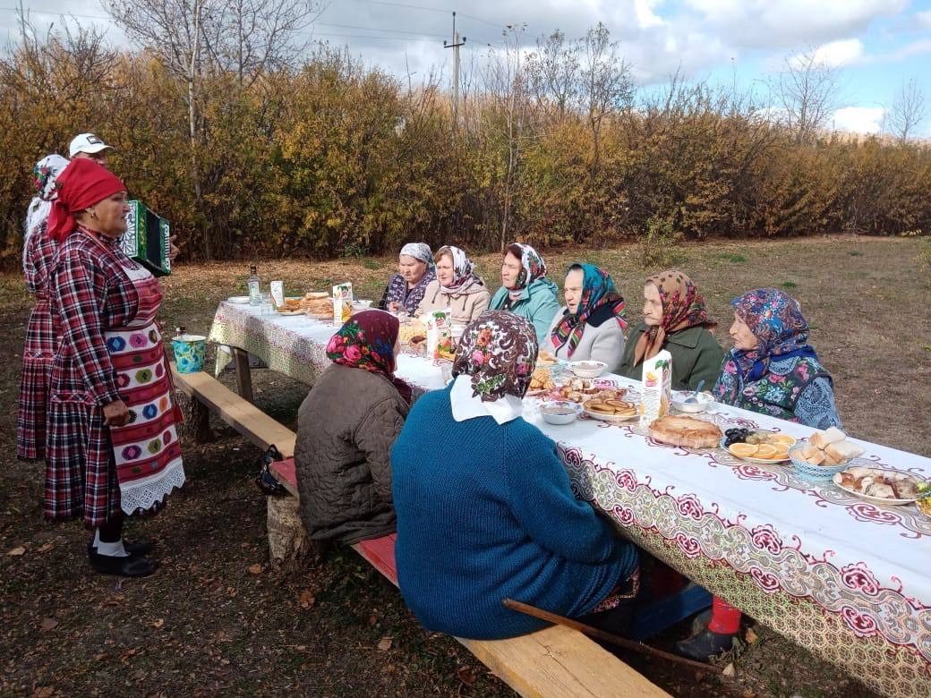 В Менделеевском районе с 1 по 10 октября проходит Декада мудрых людей