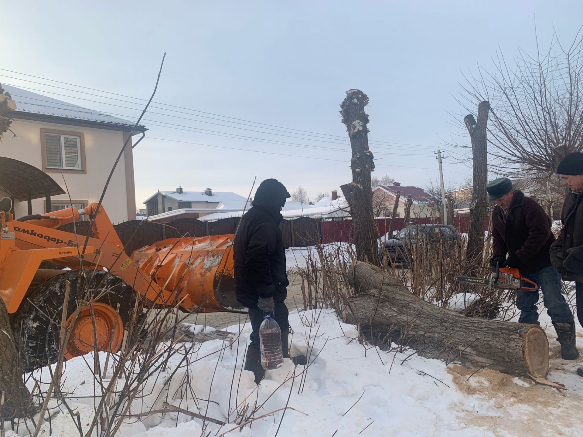 В Менделеевске началась санитарная обрезка деревьев