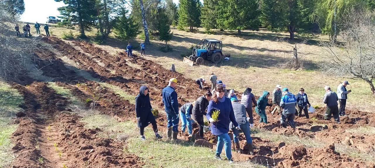 В Менделеевском районе прошла акция «Сад памяти»