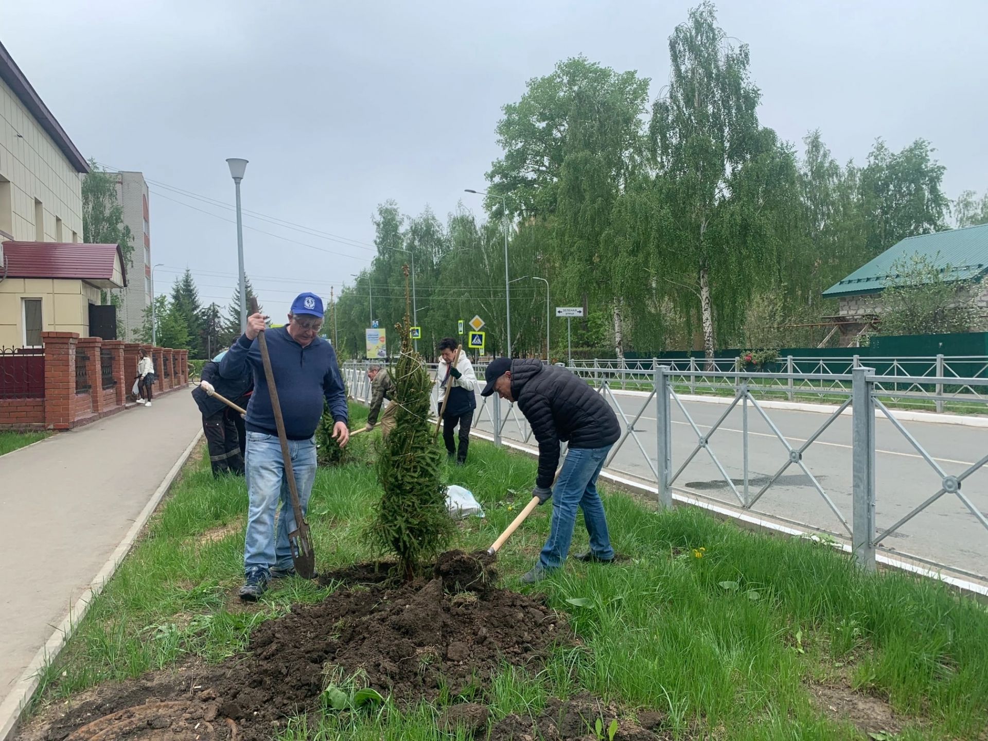 Улица Менделеевска пополнилась зелёными насаждениями