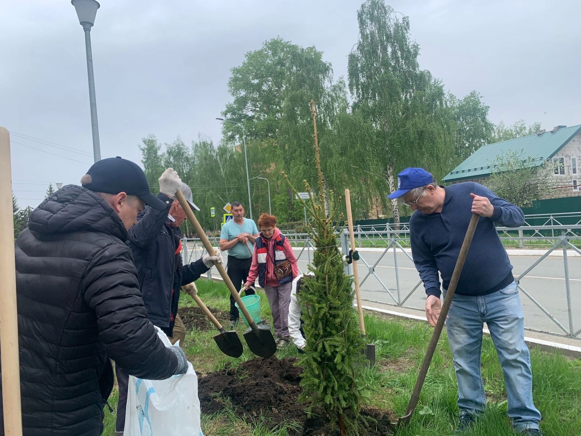 Улица Менделеевска пополнилась зелёными насаждениями