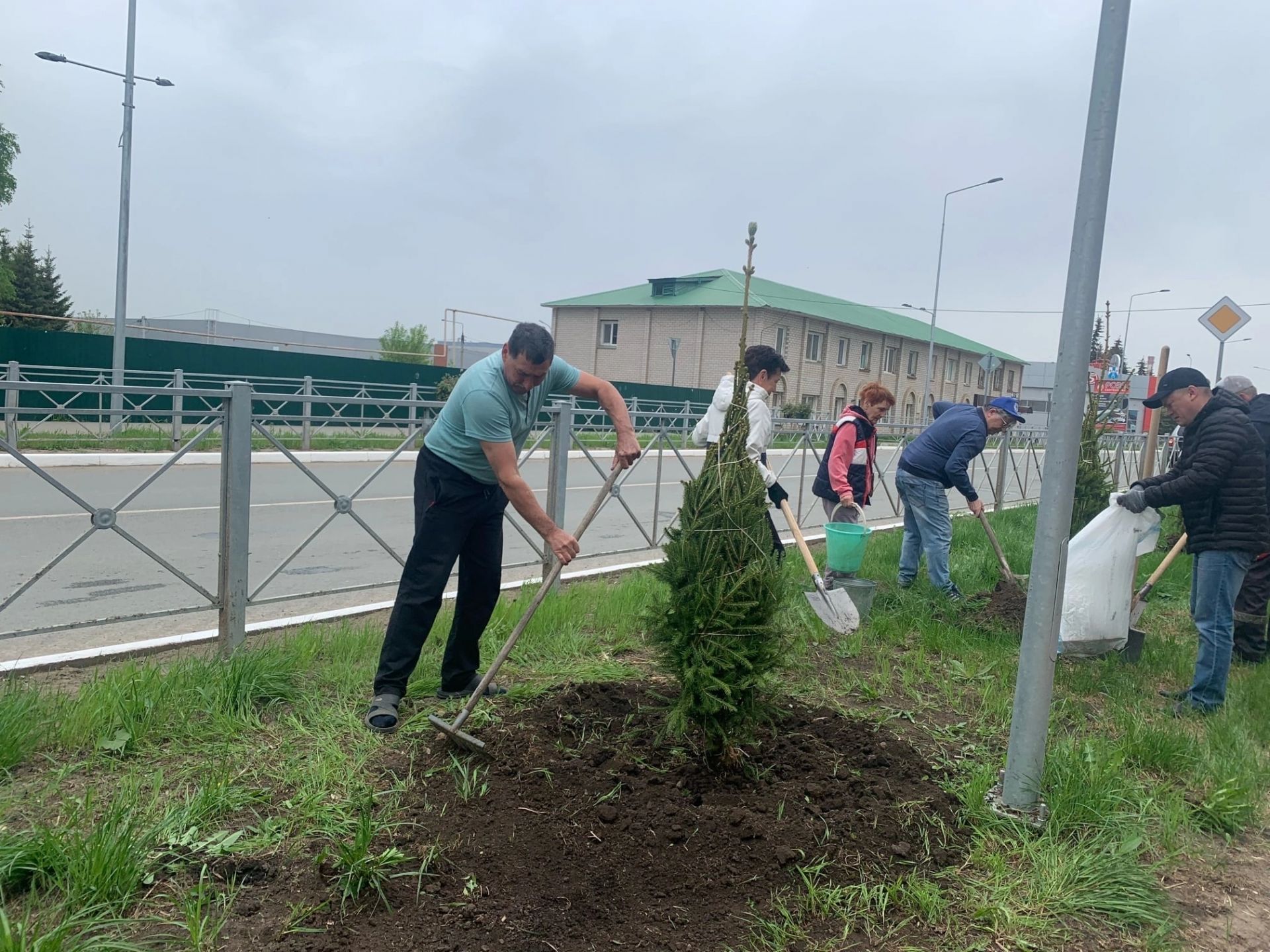 Улица Менделеевска пополнилась зелёными насаждениями