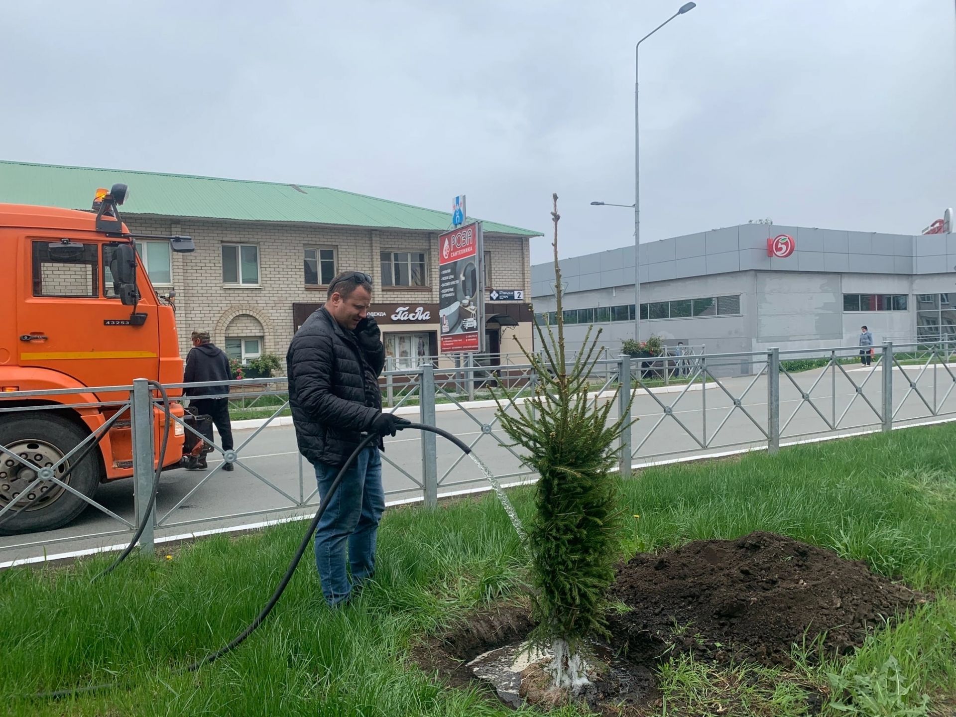 Улица Менделеевска пополнилась зелёными насаждениями