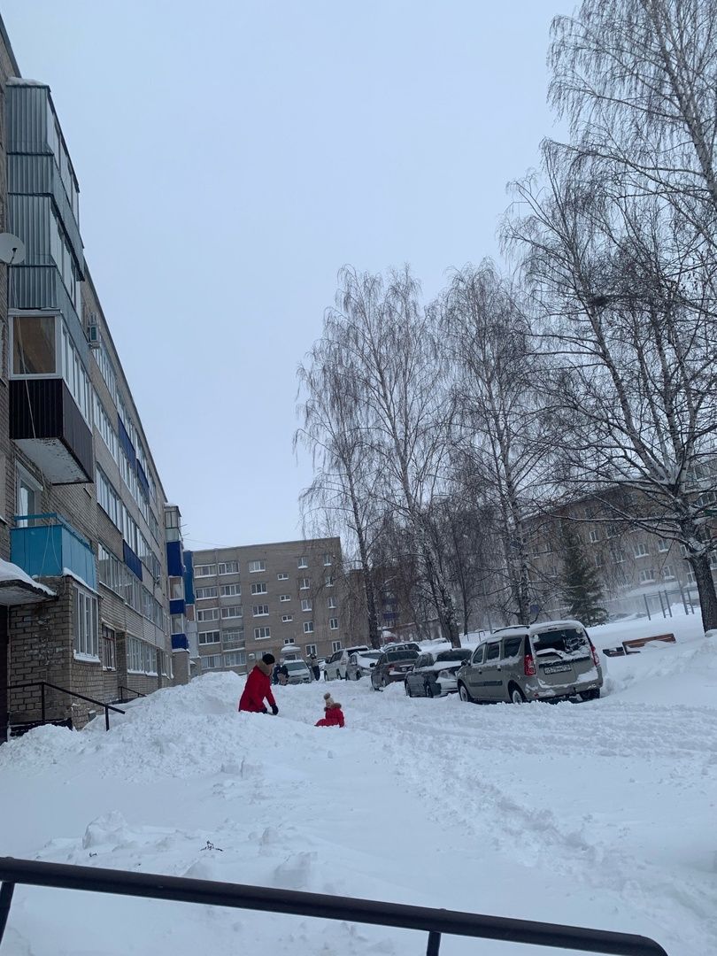 Неравнодушные менделеевцы выходят на борьбу с природной стихией