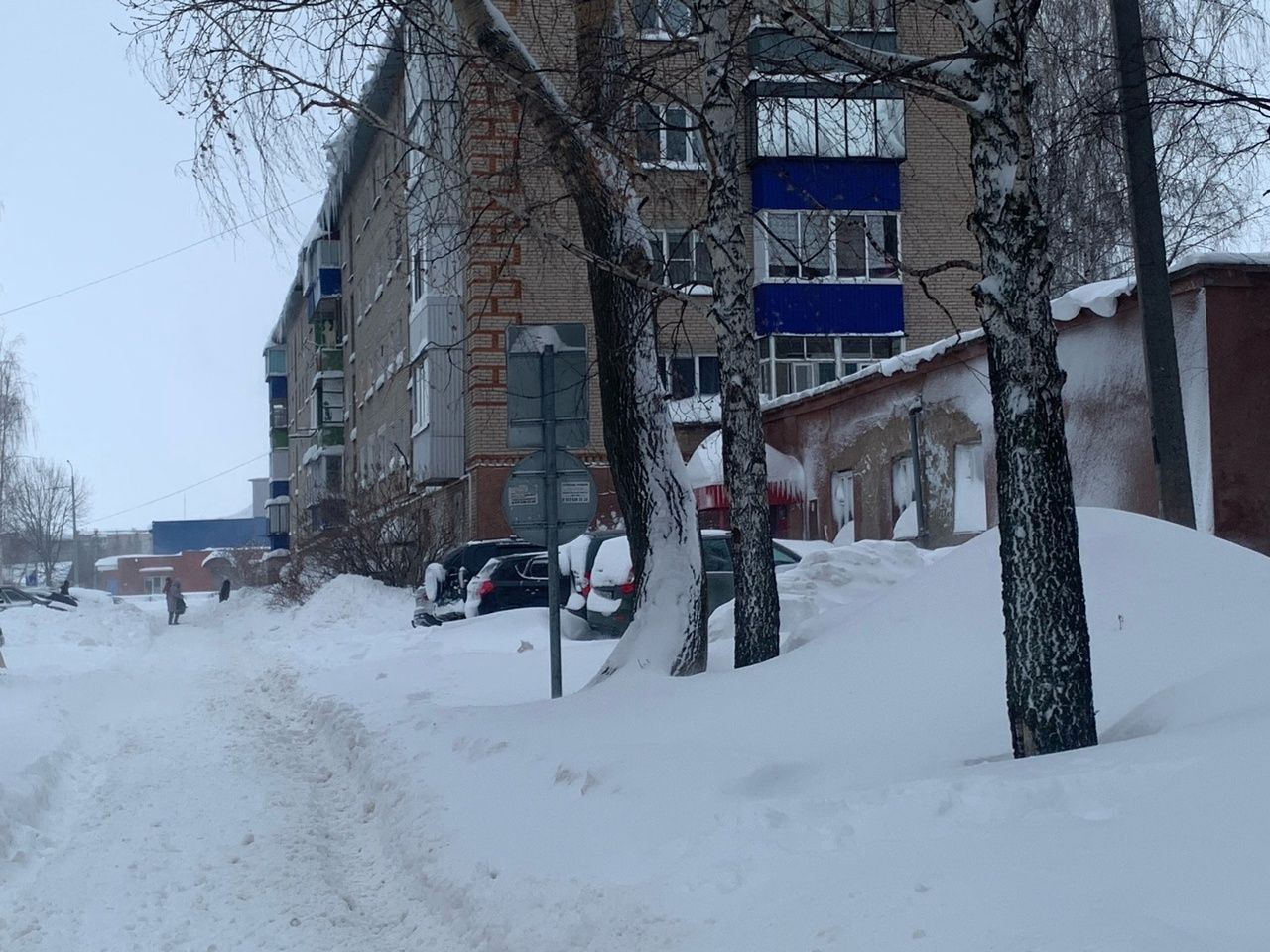 Неравнодушные менделеевцы выходят на борьбу с природной стихией