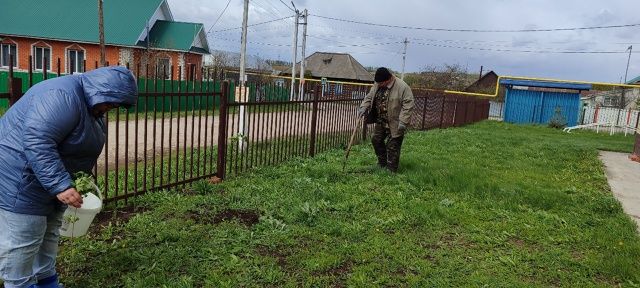 Сотрудники Тураевского СДК посадили рябины