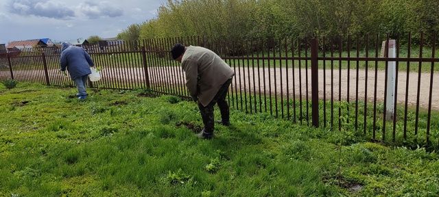 Сотрудники Тураевского СДК посадили рябины