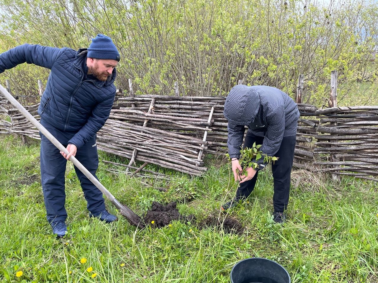 Мунайкинцы активно включились в озеленение территории