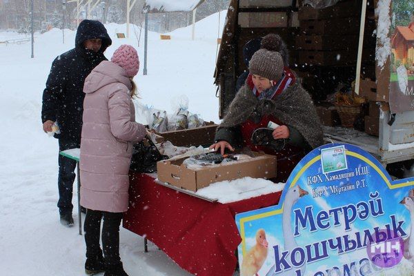 Выборы Президента РФ 2018