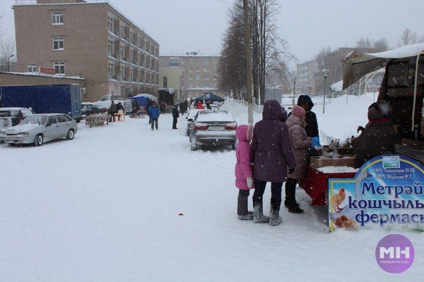 Выборы Президента РФ 2018