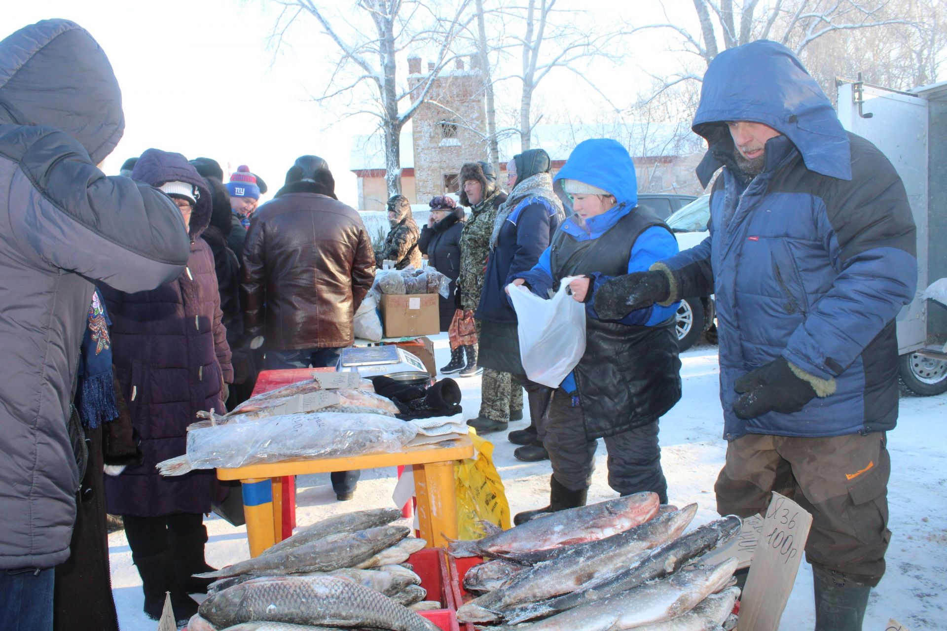 Рождественская ярмарка на «Ушковских островах»