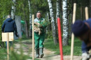 В Татарстане участниками акции «Сад памяти» посажено 1,5 млн саженцев