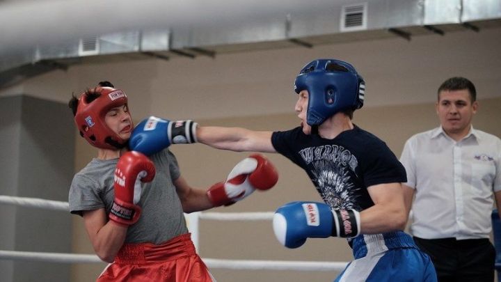 В Менделеевске прошли Чемпионат и Первенство по кикбоксингу в разделе «лайт-контакт»